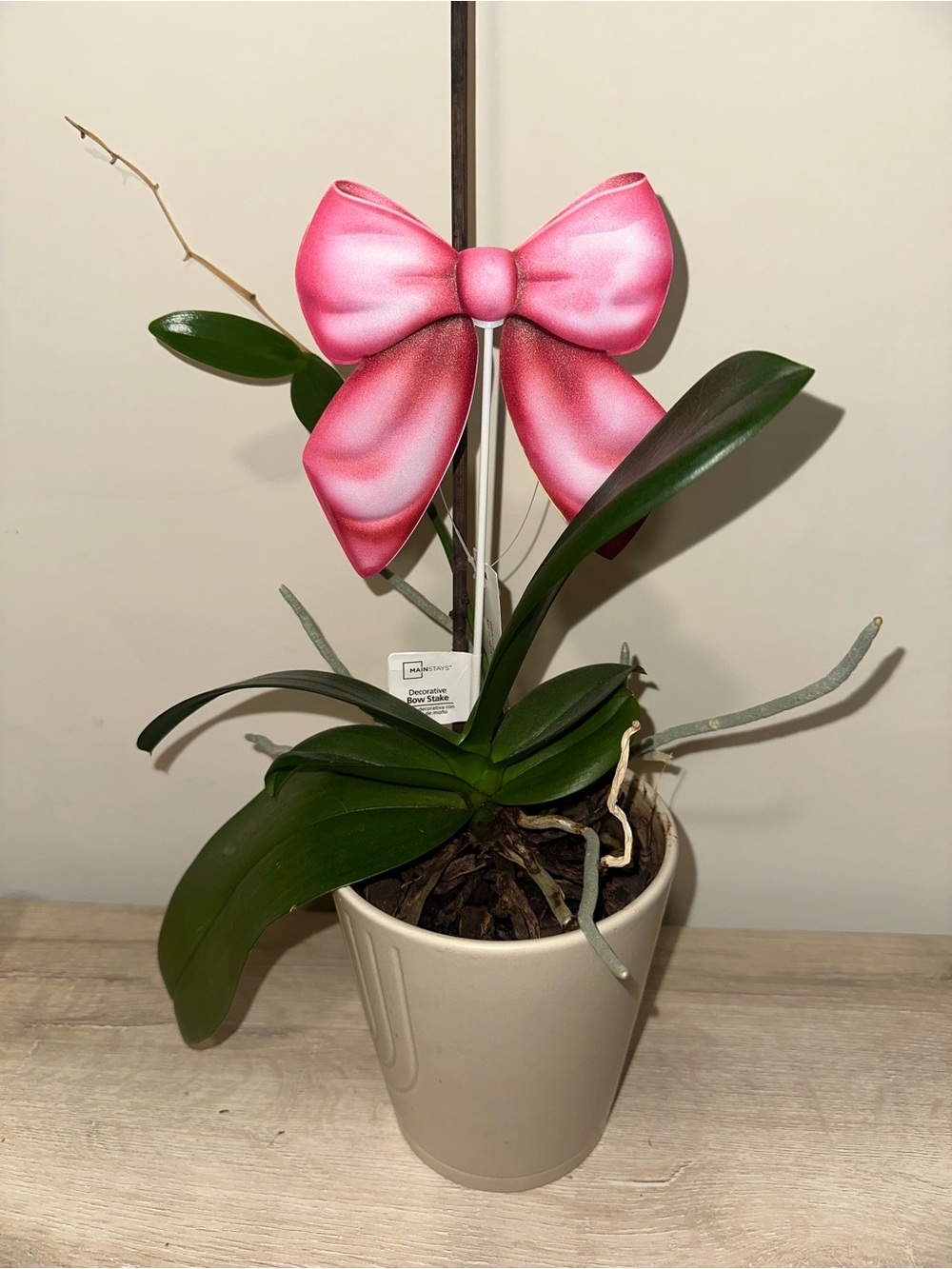 Pink Decorative Bow Plant Stake